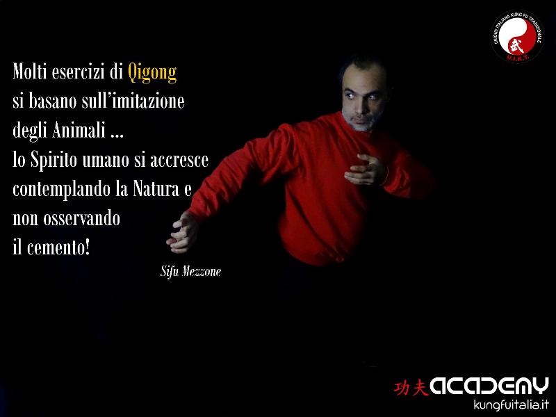 Kung Fu Academy Caserta di Sifu Salvatore Mezzone Accademia di Wing Chun e Tai Chi Quan (1)